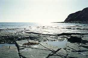 Charnel