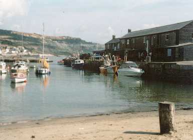 The Cobb.