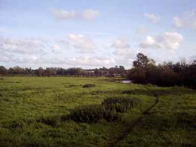 The path by the river Frome