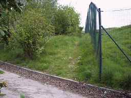 The path runs between the hazel bushes and the
 wire fence.